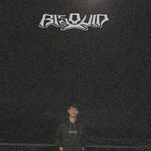Bisquid