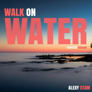 Alexy Stam