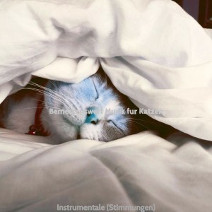 Bemerkenswert Musik fur Katzen