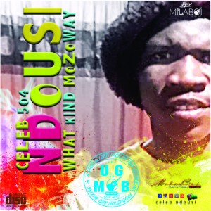 Celeb Ndousi