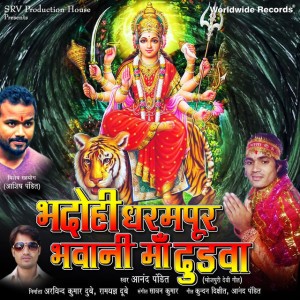 Anand Pandit