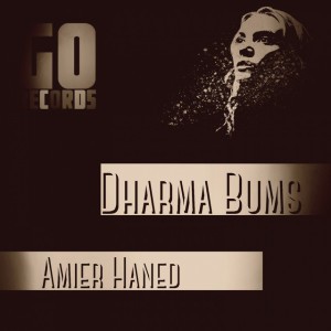 Amier Haned