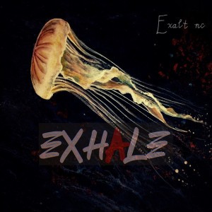 Exalt NC