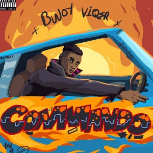 Bwoy viqer