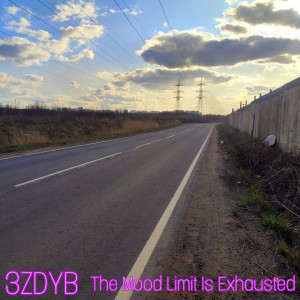 3ZDYB