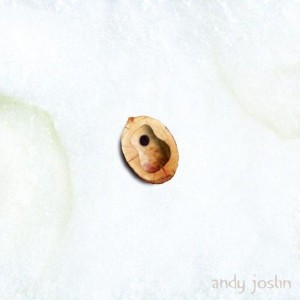 Andy Joslin