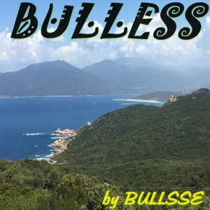 Bullsse