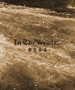 In the Woods...