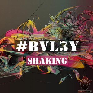 BVL3Y