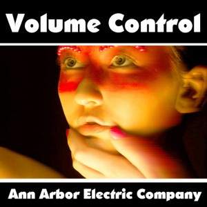 Ann Arbor Electric Company