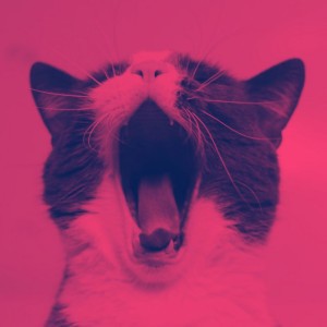 De Lujo Música de Gato