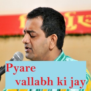 Bharvi