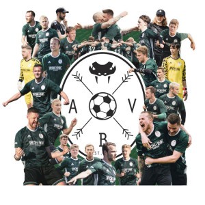 Aarhus Black Vipers