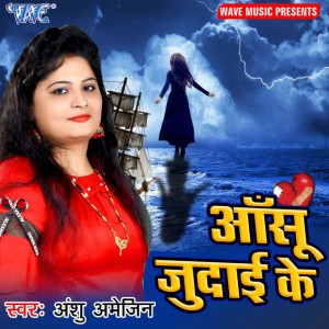 Anshu Amegin