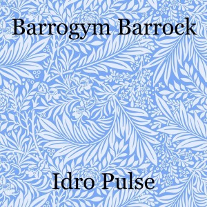 Barrogym Barrock