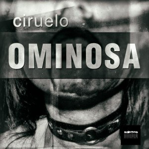Ciruelo