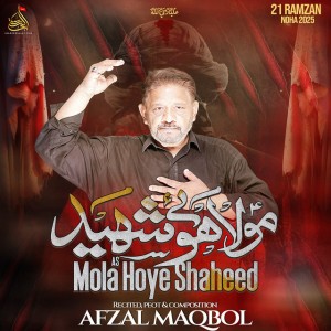 Afzal Maqbool