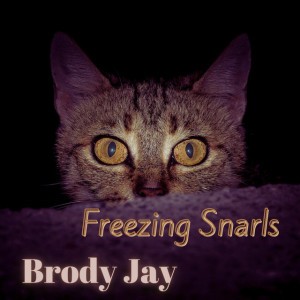 Brody Jay