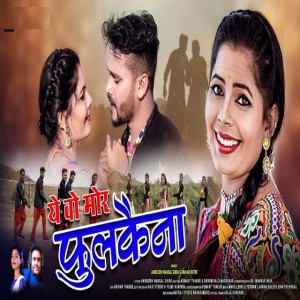 Aniruddh Mangal