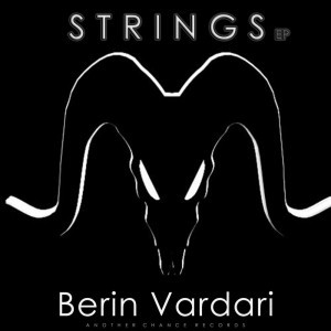 Berin Vardari