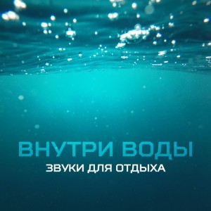 Aнсамбль звуков природы