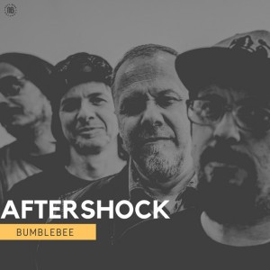 AFTERSHOCK