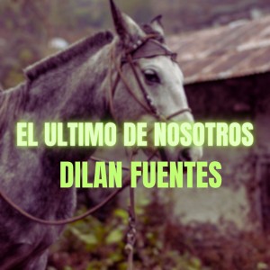 Dilan Fuentes