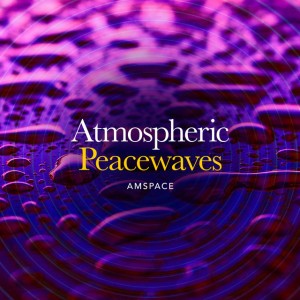 AMSpace