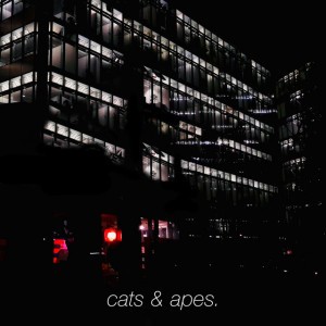 cats & apes.