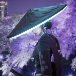 A Samurai In Tokyo
