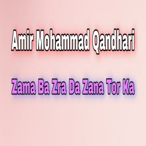 Amir Mohammad Qandhari