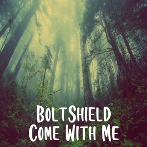 Boltshield
