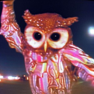 The Cosmic Owls