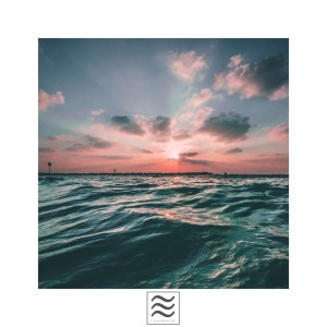 Charming Bowls with Ocean