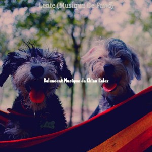 Balancant Musique de Chien Relax