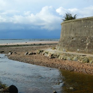 Broetuhyia