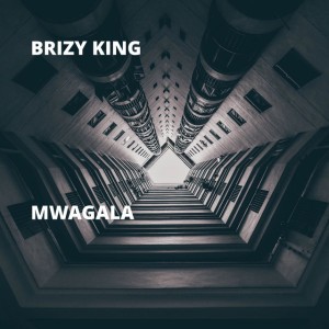 Brizy King