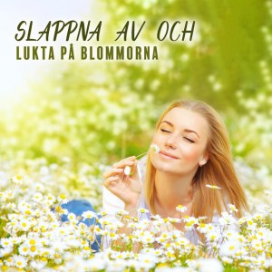 Blomstersensationer