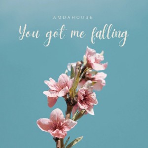AMDAHOUSE