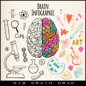 Big Brain Brad