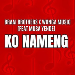 Braai Brothers