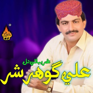 Ali Gohar Shar