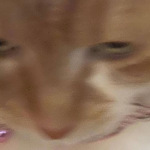 Arosé