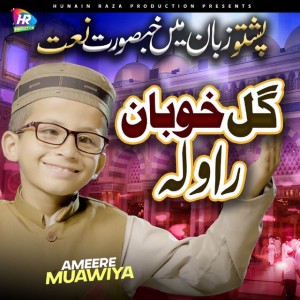 Ameere Muawiya