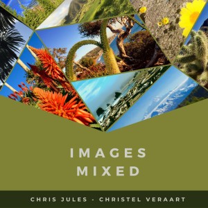 Chris Jules