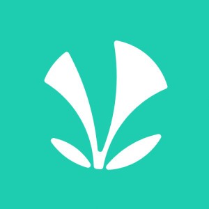 Bhapu