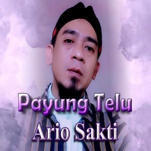 Ario Sakti
