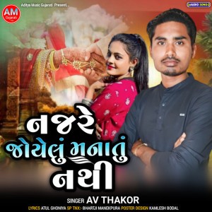 AV Thakor