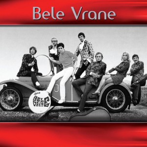 Bele vrane