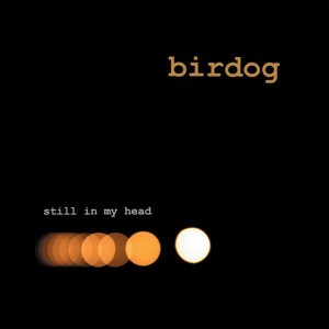 Birdog